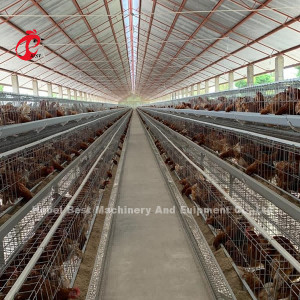 La mejor jaula del pollo de la granja avícola de la capa para las ponedoras 4 gradas Mia