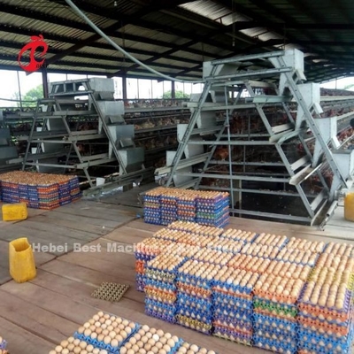 CE comercial Adela del sistema de la jaula de batería del pollo de la capa de la jaula automática llena del pollo