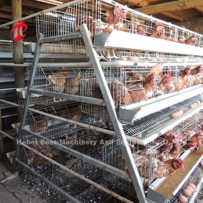 La jaula al por mayor de la capa de las aves de corral del precio de fábrica Q235, pájaros del sistema 256 de la jaula de batería protagoniza