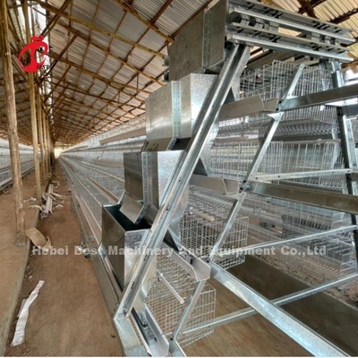 Pollería galvanizada Un tipo de sistema de jaula automática para capas en Nigeria Popular Rosa