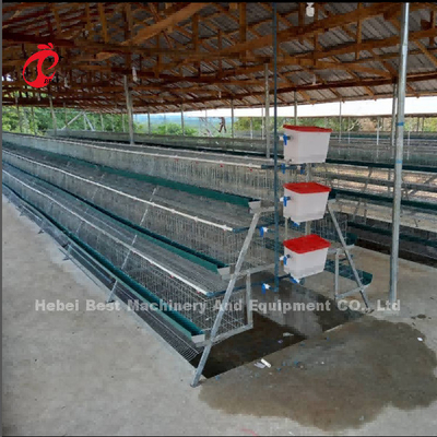 Sistema comercial los 2.0m*2.0m*1.45m de la jaula de batería de la capa del pollo en la estrella de Nigeria
