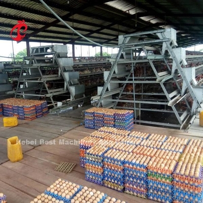 Estrella automática de las gradas 450cm2 de System 3 de la jaula de batería de las aves de corral del proyecto de llavero