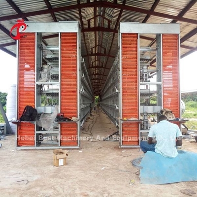 Un tipo jaulas de H de batería comerciales adultas del pollo para la estrella de las ponedoras