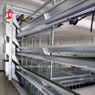 Tipo completo jaulas de H de batería automáticas del pollo de la capa 500 pájaros Adela