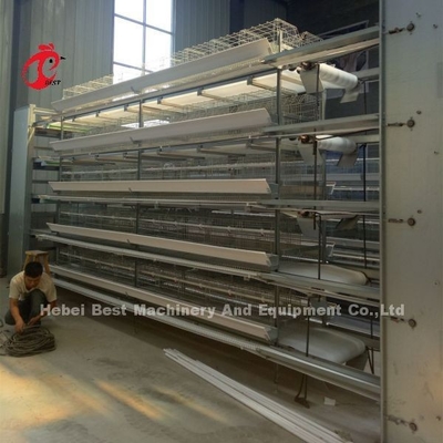 Tipo completo jaulas de H de batería automáticas del pollo de la capa 500 pájaros Adela