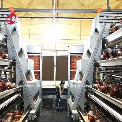 Un tipo jaula de batería del pollo de la capa por completo automática para la granja grande Adela
