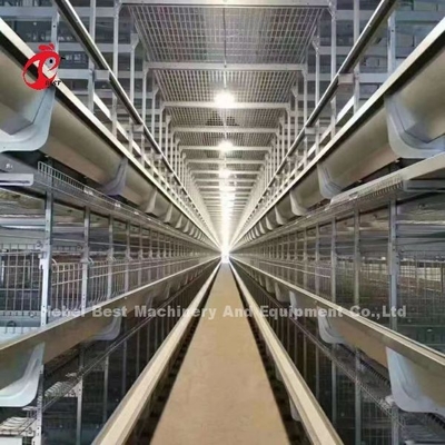 Un tipo jaula de batería del pollo de la capa por completo automática para la granja grande Adela