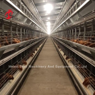 Un tipo jaula de batería del pollo de la capa por completo automática para la granja grande Adela