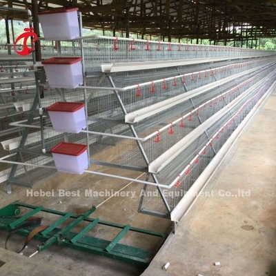Descuente un tipo jaula de batería de las aves de corral para los pájaros de la venta 160 de la capa en Zambia Adela