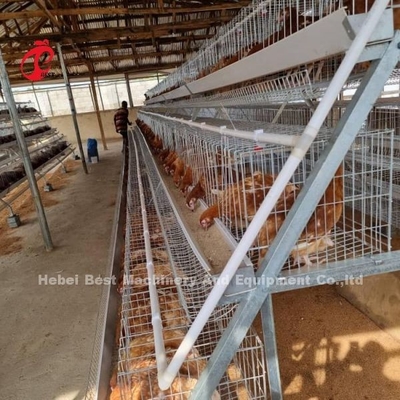 Descuente un tipo jaula de batería de las aves de corral para los pájaros de la venta 160 de la capa en Zambia Adela