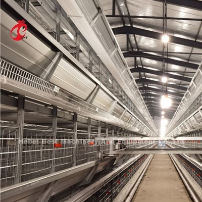 Sistema de la jaula de la avicultura de la batería del pollo un tipo 3 gradas de H para la capa Rose