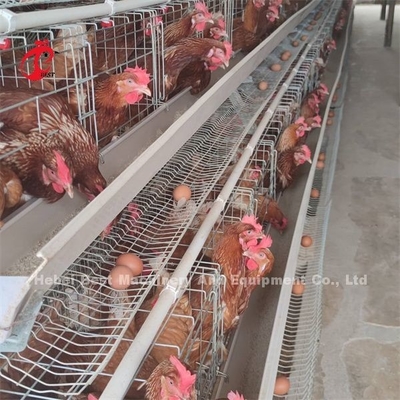 Altas gallinas de la capa del sistema de la jaula de batería de las aves de corral de la estabilidad en África ISO9001 Emily