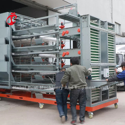 La inmersión caliente de 3 gradas galvanizó la jaula del pollo de la granja avícola, venta caliente Mia de la jaula del pollo de la capa