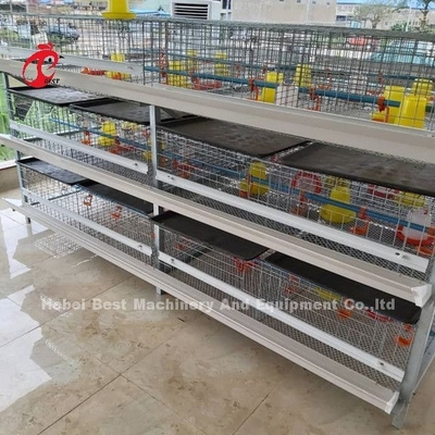 Ahorre las aves de corral del espacio que el pollo tomatero enjaula el alambre de acero con poco carbono en África Adela