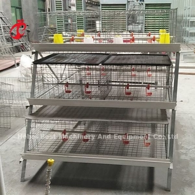 Ahorre las aves de corral del espacio que el pollo tomatero enjaula el alambre de acero con poco carbono en África Adela