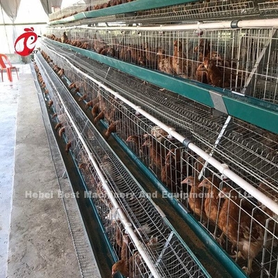 Jaulas de batería antis galvanizadas eléctricas de la capa del moho de la jaula de la granja avícola de la capa Emily