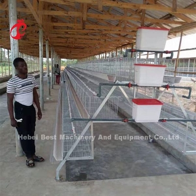 Sistema automático de jaula de pollo de 120 baterías con superficie galvanizada Adela