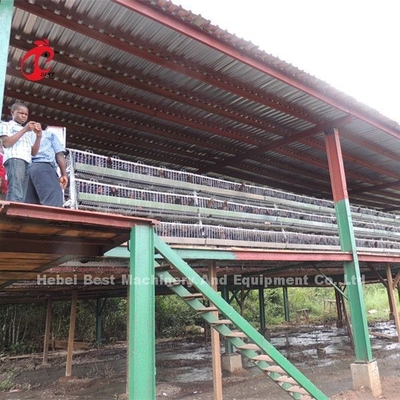 Un tipo avicultura de la jaula de batería de las parrillas ISO14001 Doris