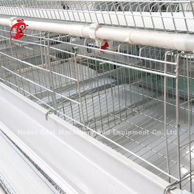 sistema de la jaula de la avicultura de los 2.2m, jaula de batería de 9 gradas para las capas Rose