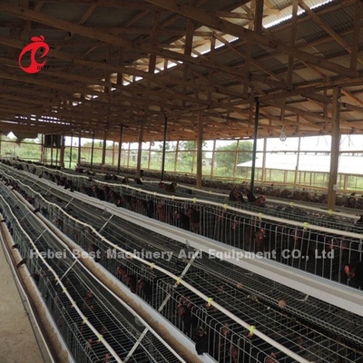 Un tipo 3 gradas acoda la estrella de los pájaros 450cm2 de las jaulas de batería del pollo 120
