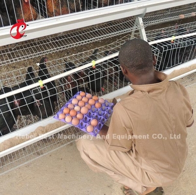Un tipo 3 gradas acoda la estrella de los pájaros 450cm2 de las jaulas de batería del pollo 120