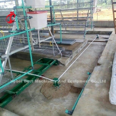 Raspador reciclado del sistema de proceso del abono de 380V 8kw para el iris de la granja avícola
