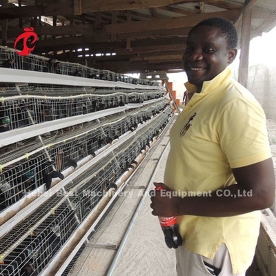 Tipo 4 160 aves aves de corral pollo batería de capas jaula galvanización caliente estrella