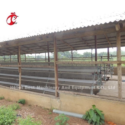 Batería de aves de corral sistema de jaula para disminuir la temperatura de las capas estrella