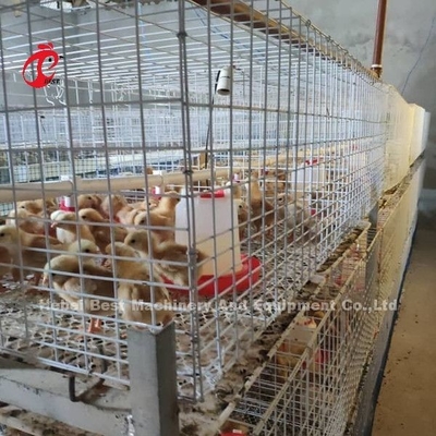 Alambre de acero de la gallina clueca de los polluelos del bebé del sistema de la jaula de la avicultura Q235 Emily
