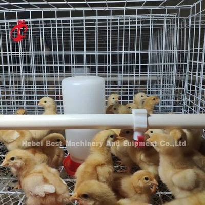 Equipo de las granjas avícolas tipo H Sistema de jaula de pollo con batería para pollos de engorde