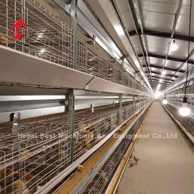 Tipo CE de la jaula del pollo tomatero, equipo automático lleno Adela de H de la jaula de la parrilla