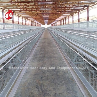 90/96/120/128/160/200 Capacidad Jaula de capas de aves de corral con bebedor de pezones y alimentador de arena