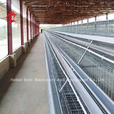 el sistema de la jaula de la avicultura de 4 gradas, fácil instala la jaula galvanizada Doris del pollo