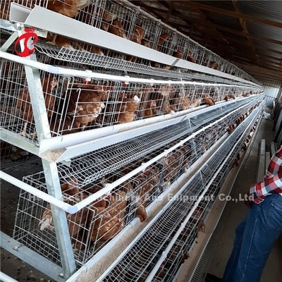 4 gradas acodan las jaulas de batería del pollo automáticas en el Ada de Uganda