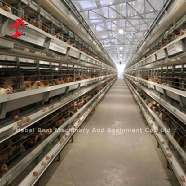 Un sistema de jaula de batería de pollo automático de tipo H con 25 años de vida