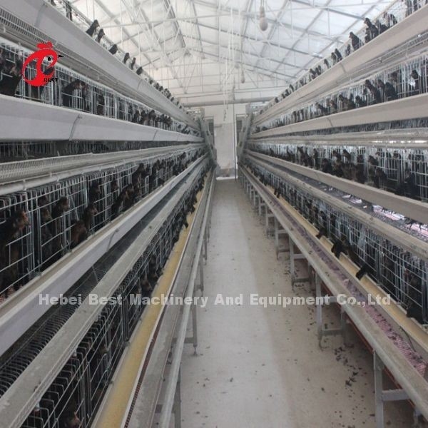 Galvanizado en caliente un tipo jaula de capas de sistema de bebida automática en la granja Adela