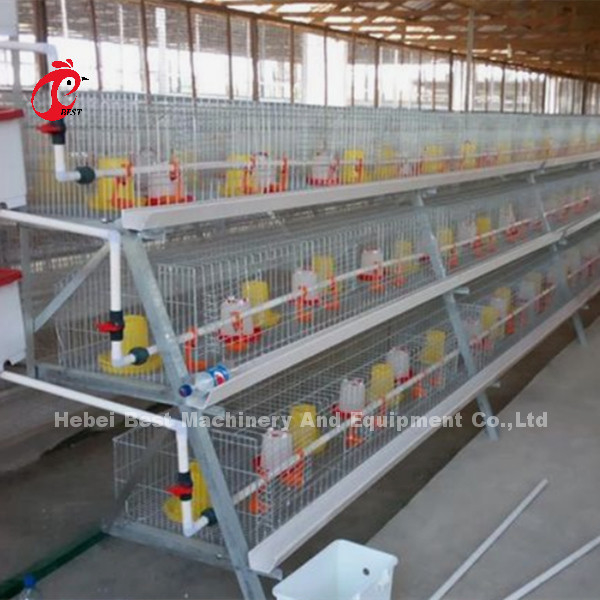 Jaula de batería vieja de los polluelos del día para de las parrillas 3 o 4 iris galvanizado la grada
