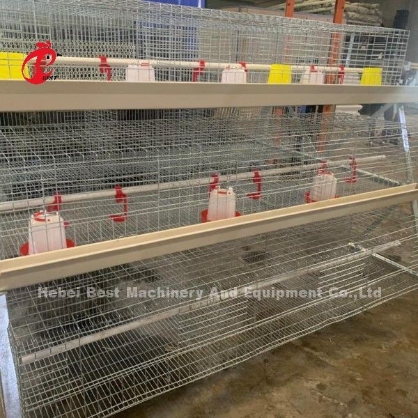 El tipo 3 plata de Q235 A de la jaula del pollo del pollo de las gradas galvanizó a Adela