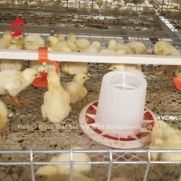 Un tipo de gallina Broiler Jaula y Granja Casa de aves de corral Edificio Diseño Mia