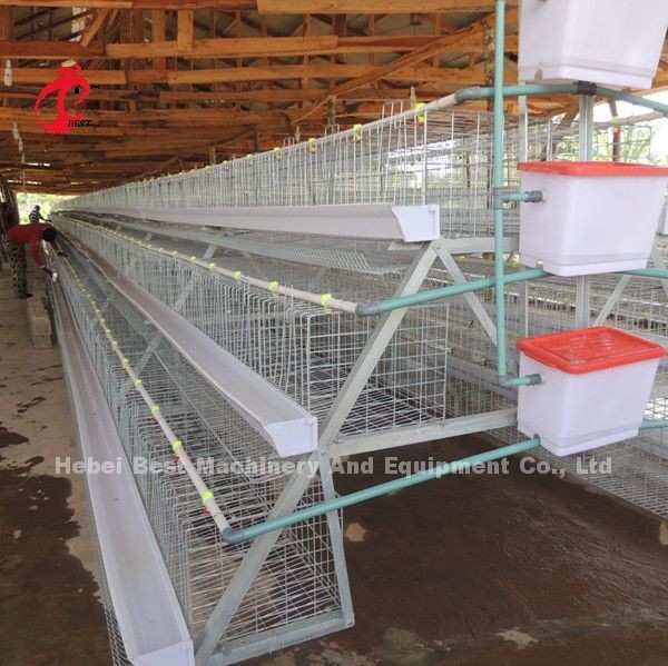 120 Aves 200 Aves Capacidad Avicultura Sistema de jaula de baterías para capas Pollitos de engorde Pollitos estrella