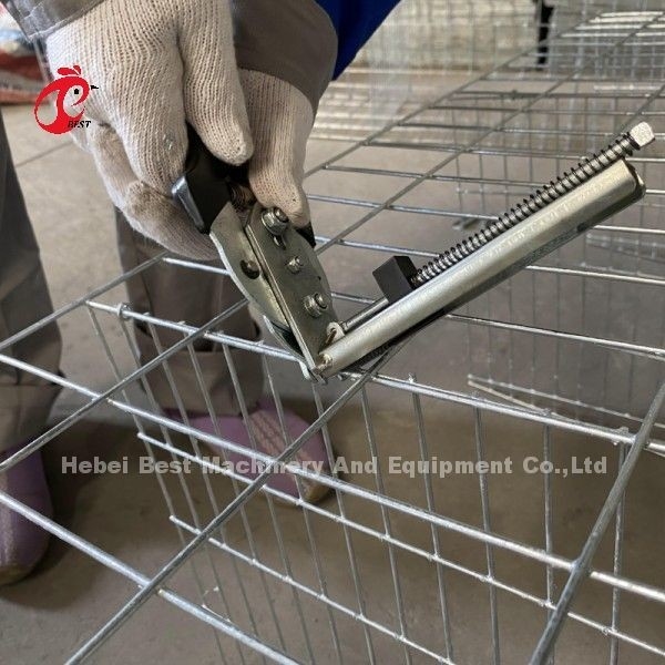 Galvanizado un tipo de nivel 3 o 4 de nivel de pollo de aves de corral capa de batería de jaula para 45.000 aves de corral de aves de corral de la granja Doris