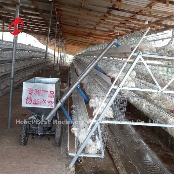 96 120 128 160 Aves de 3 niveles y 4 niveles Sistema de jaula de batería de nivel para la venta en Lagos Nigeria Sandy