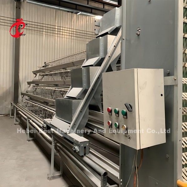 Alimentación totalmente automática Granjas avícolas Jaulas de pollo Tipo A y H Rosa
