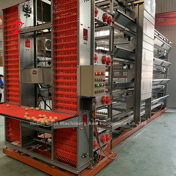 Equipo moderno de jaula de pollo automática tipo H para 25000 granjas de aves Emily