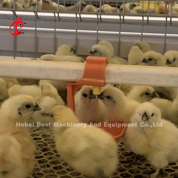 Practical 380V Chick Brooder Cage para el día de la capa vieja de cultivo de pollos en la granja de África Iris