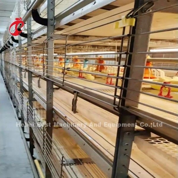 Mejor Galvanizado Automático H Tipo de Pollo Granja Broiler Jaula Sistema Adela