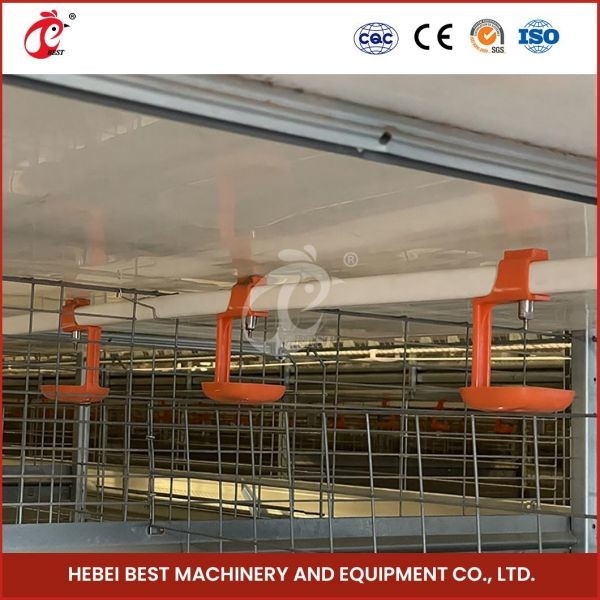 Tipo automático día viejo Chick Pullet Cage High Capacity Adela de la vida útil de la jaula moderna larga H de las aves de corral