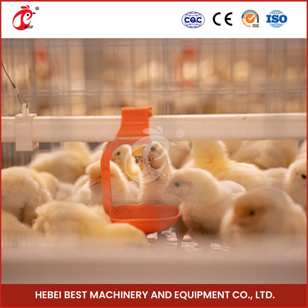 Polluelos viejos automatizados Rose del cultivador de la capa de Chick Brooder Cage For Day de la batería del bebé del pollo