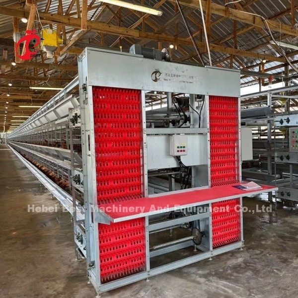 Sistema automático de bebida de tipo A y H para capas de aves de corral capas de jaula Adela