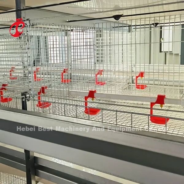 Q235 acero más fuerte alambre de broiler 1.5m por 2.2m por 1.75m Adela
